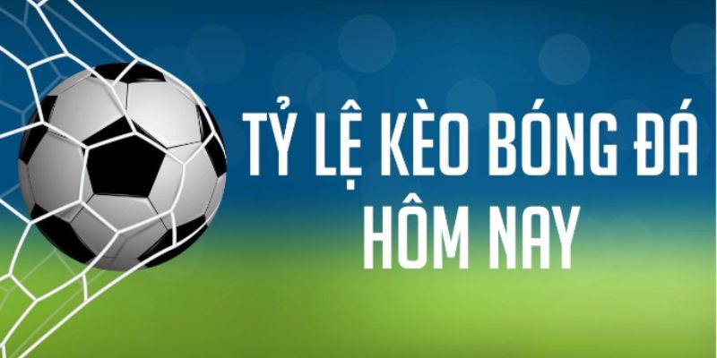 Bsport- Cập nhật soi kèo chuẩn